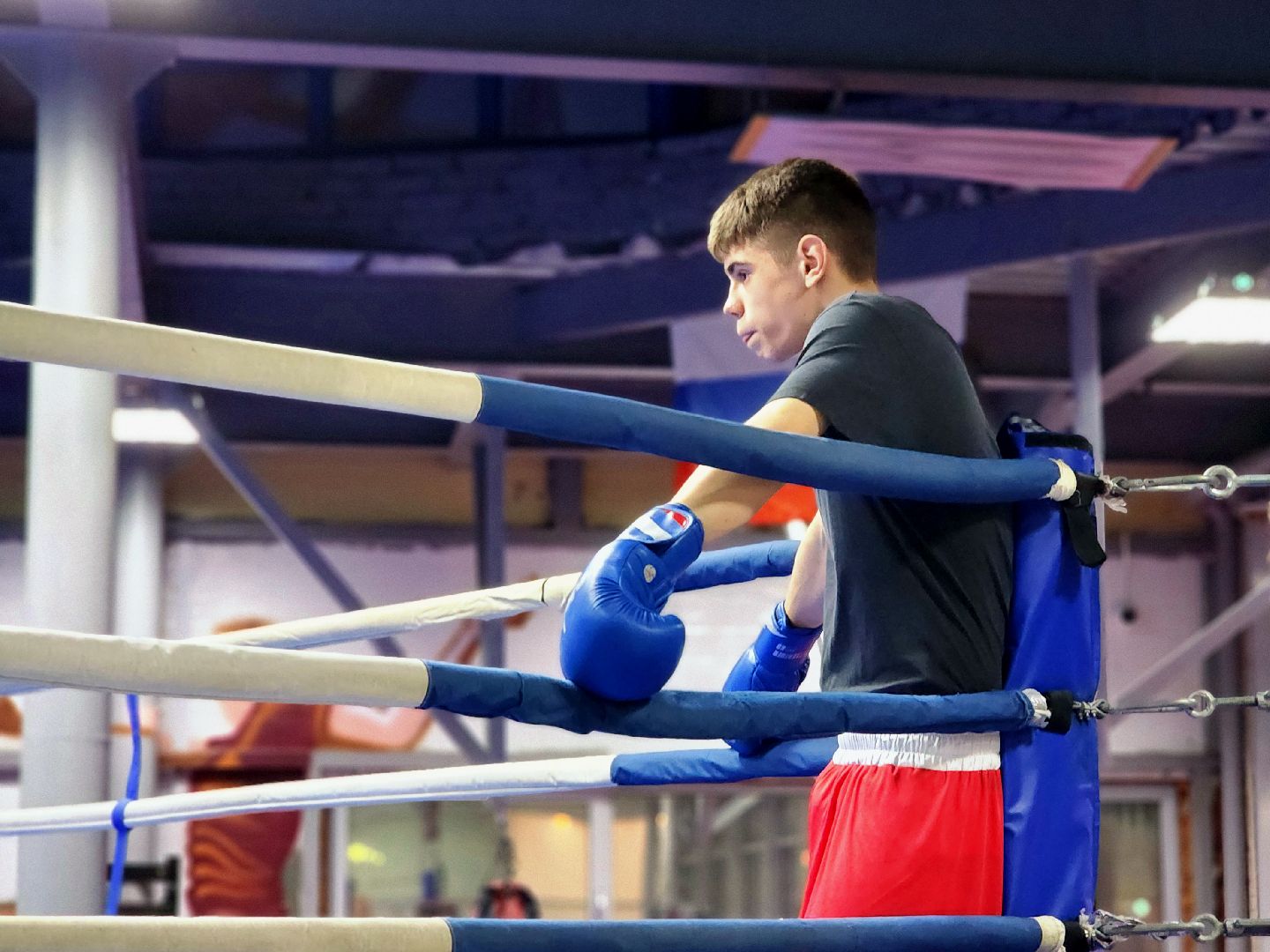 дубна, спорт, бокс,