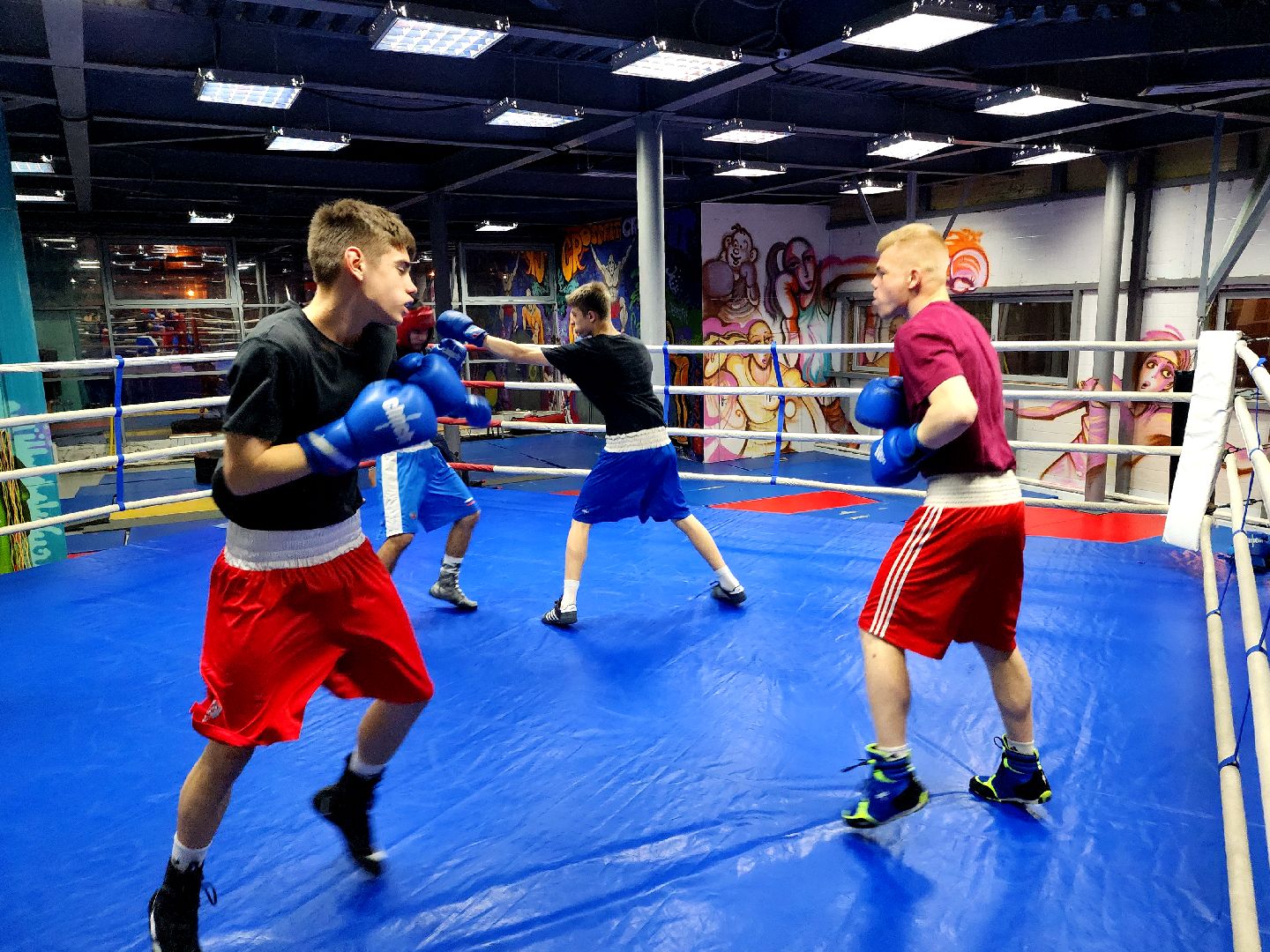 дубна, спорт, бокс,