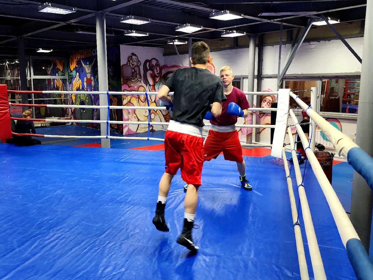 дубна, спорт, бокс,