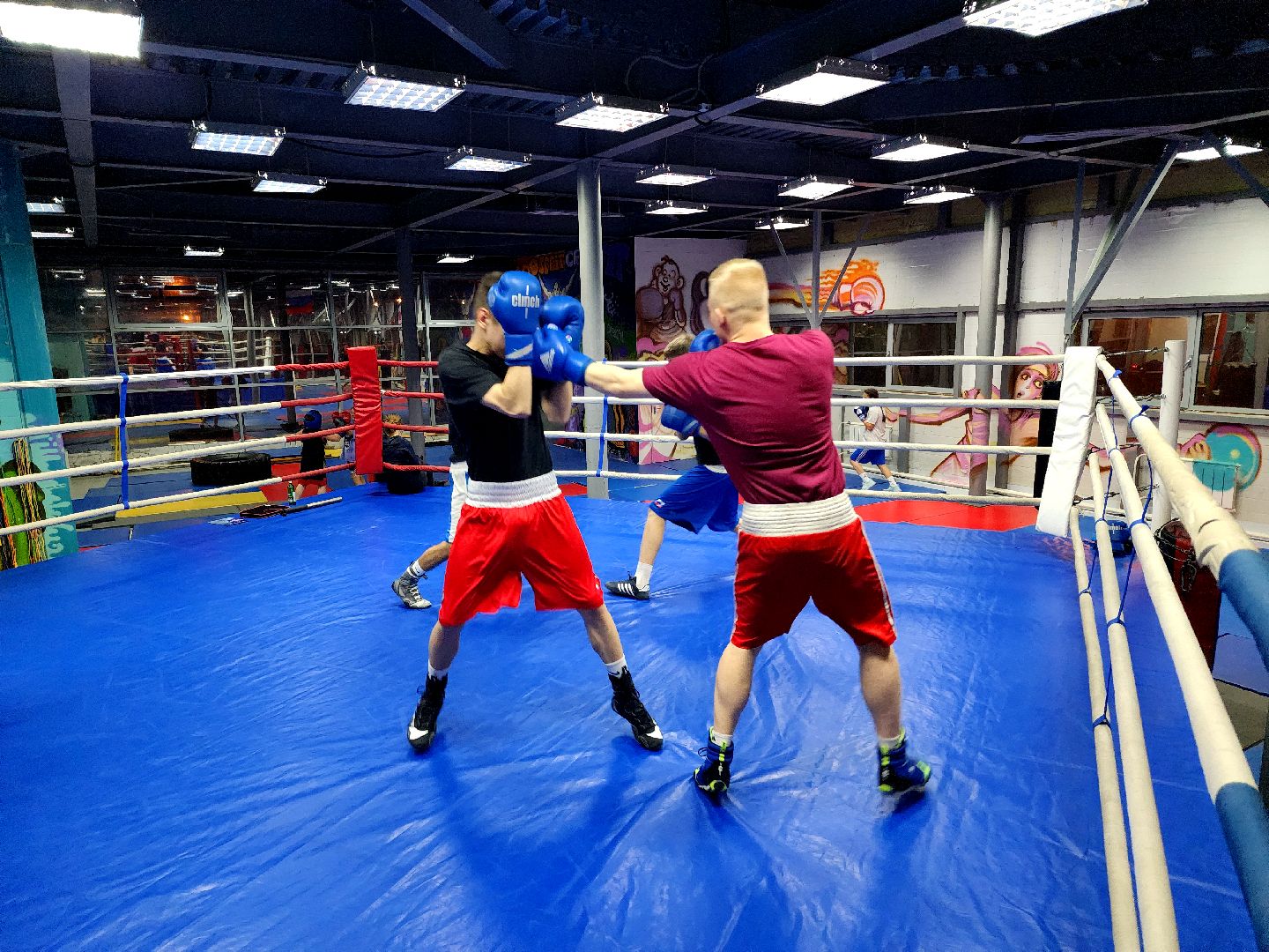 дубна, спорт, бокс,