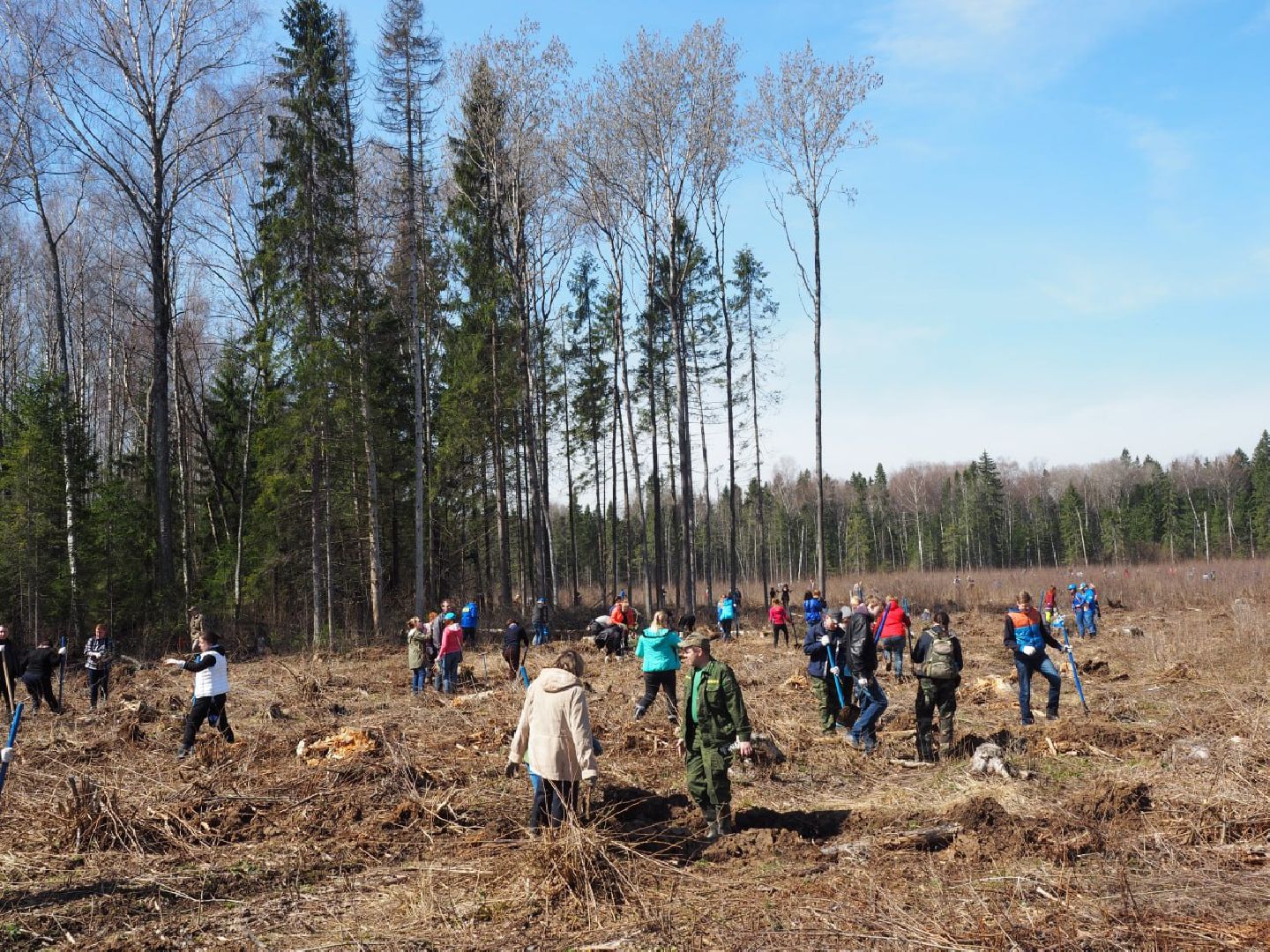 Сергиев Посад, Сергиево-Посадский городской округ, Экология, Лес Победы, Акция, Волонтеры, Озеленение