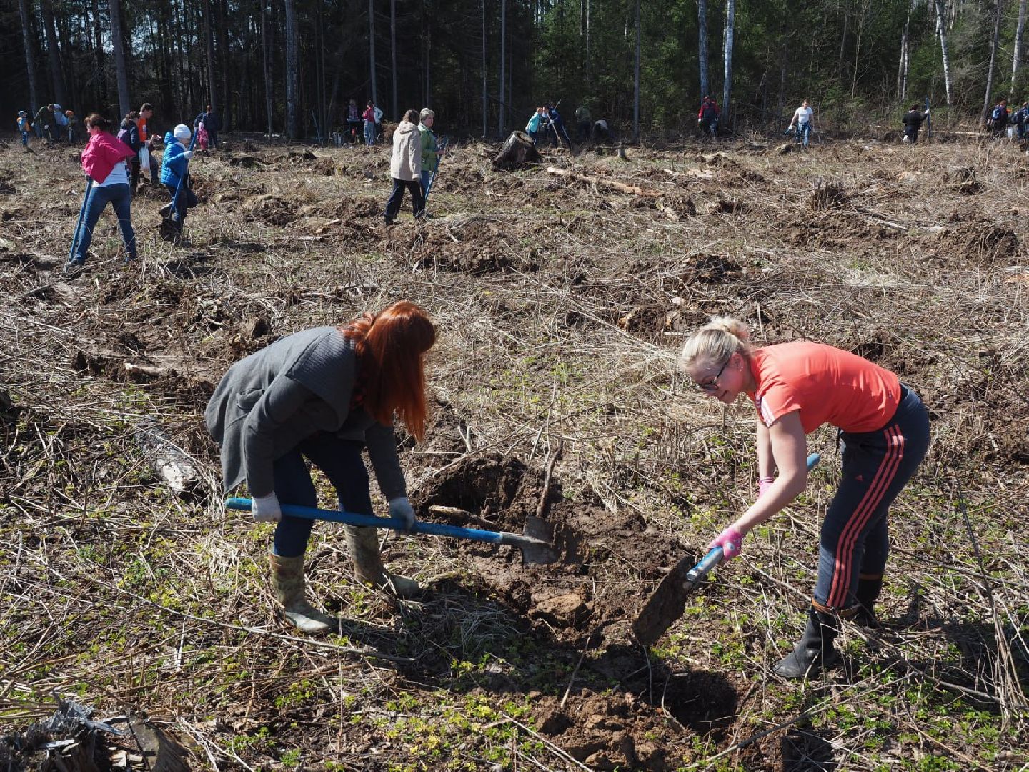 Сергиев Посад, Сергиево-Посадский городской округ, Экология, Лес Победы, Акция, Волонтеры, Озеленение