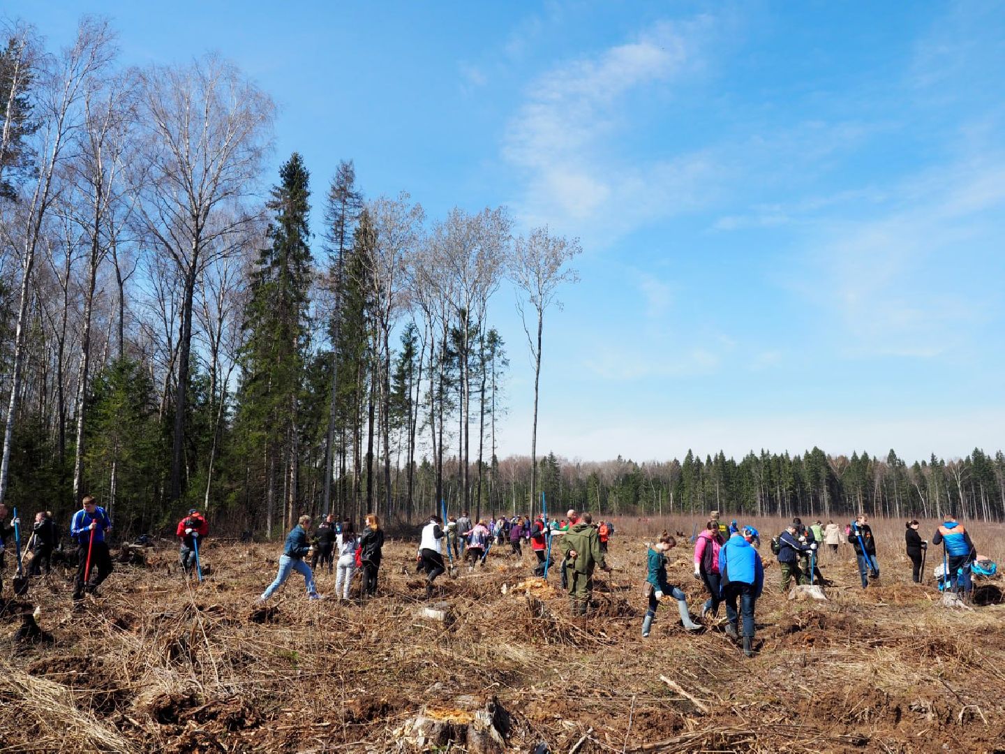 Сергиев Посад, Сергиево-Посадский городской округ, Экология, Лес Победы, Акция, Волонтеры, Озеленение