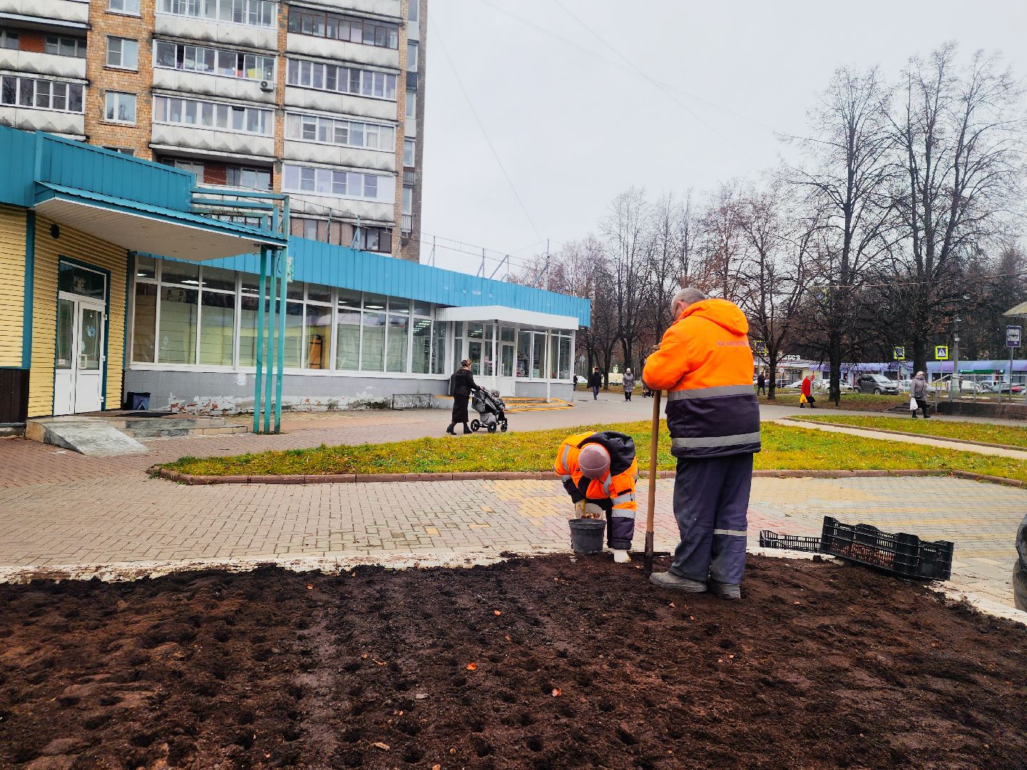 пущино, серпухов, цветники,