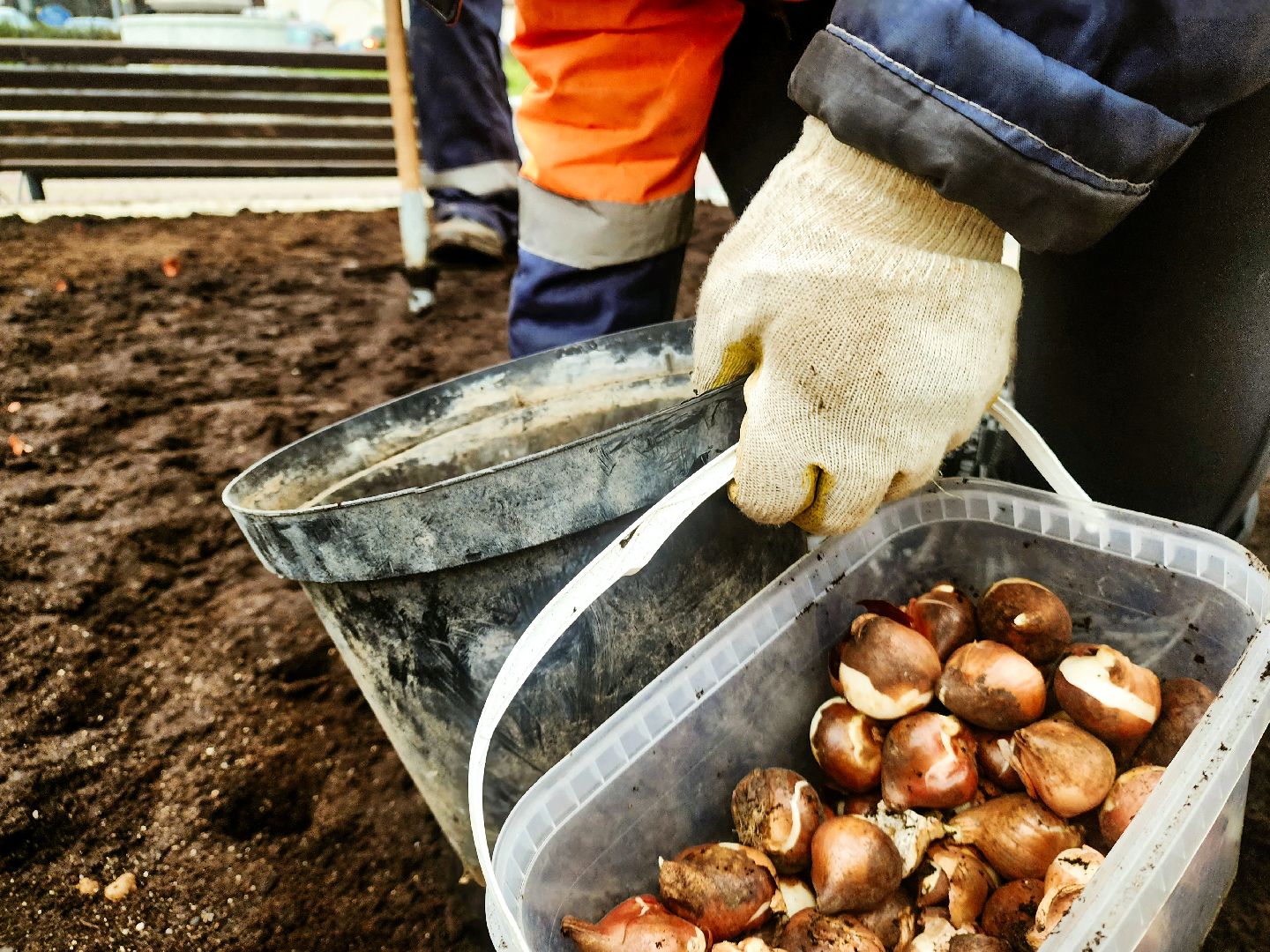 пущино, серпухов, цветники,