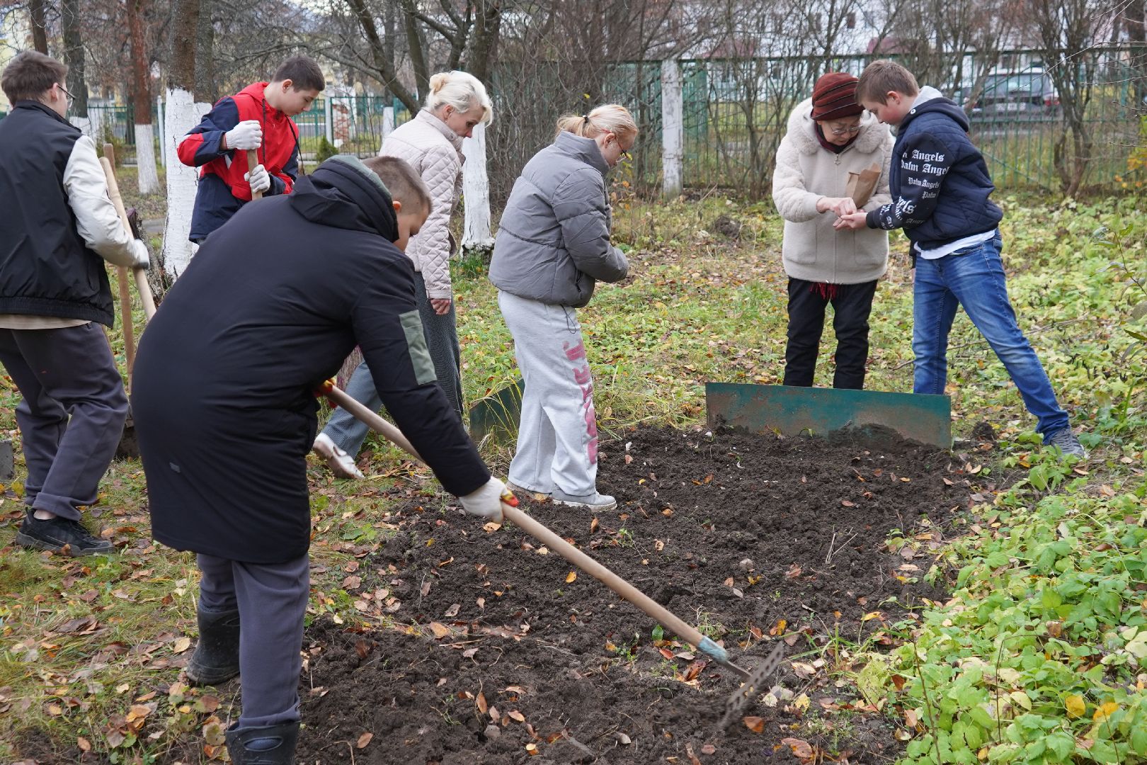 ступино, МОВИР, коррекционная школа-интернат, чеснок, огород,