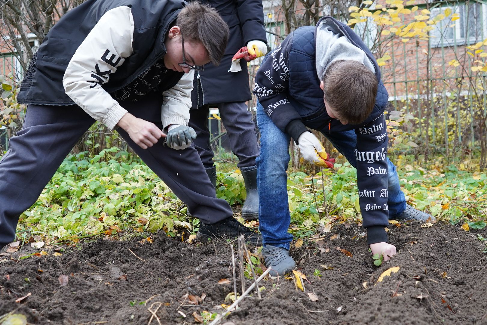 ступино, МОВИР, коррекционная школа-интернат, чеснок, огород,