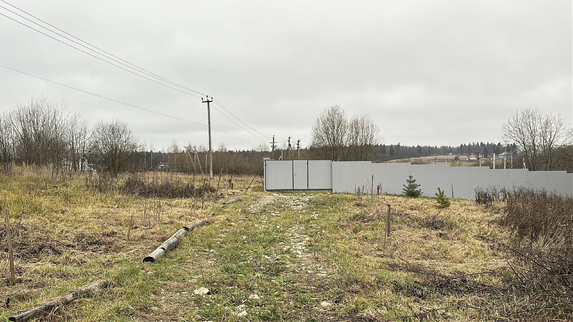 многодетные семьи, пушкинский городской округ, строительство  дорог, освещение, благоустройство,