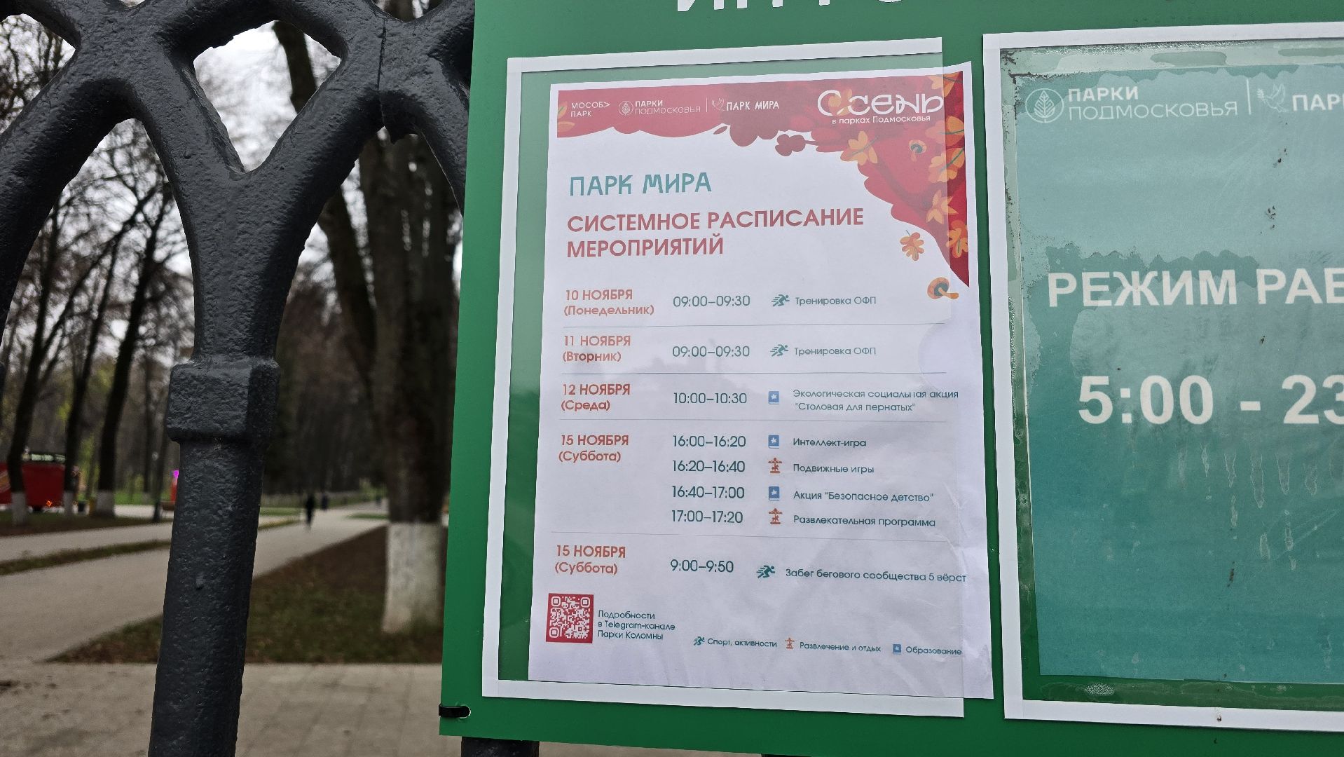 Коломна, кормушки для птиц, экологическая акция,синичкин день,