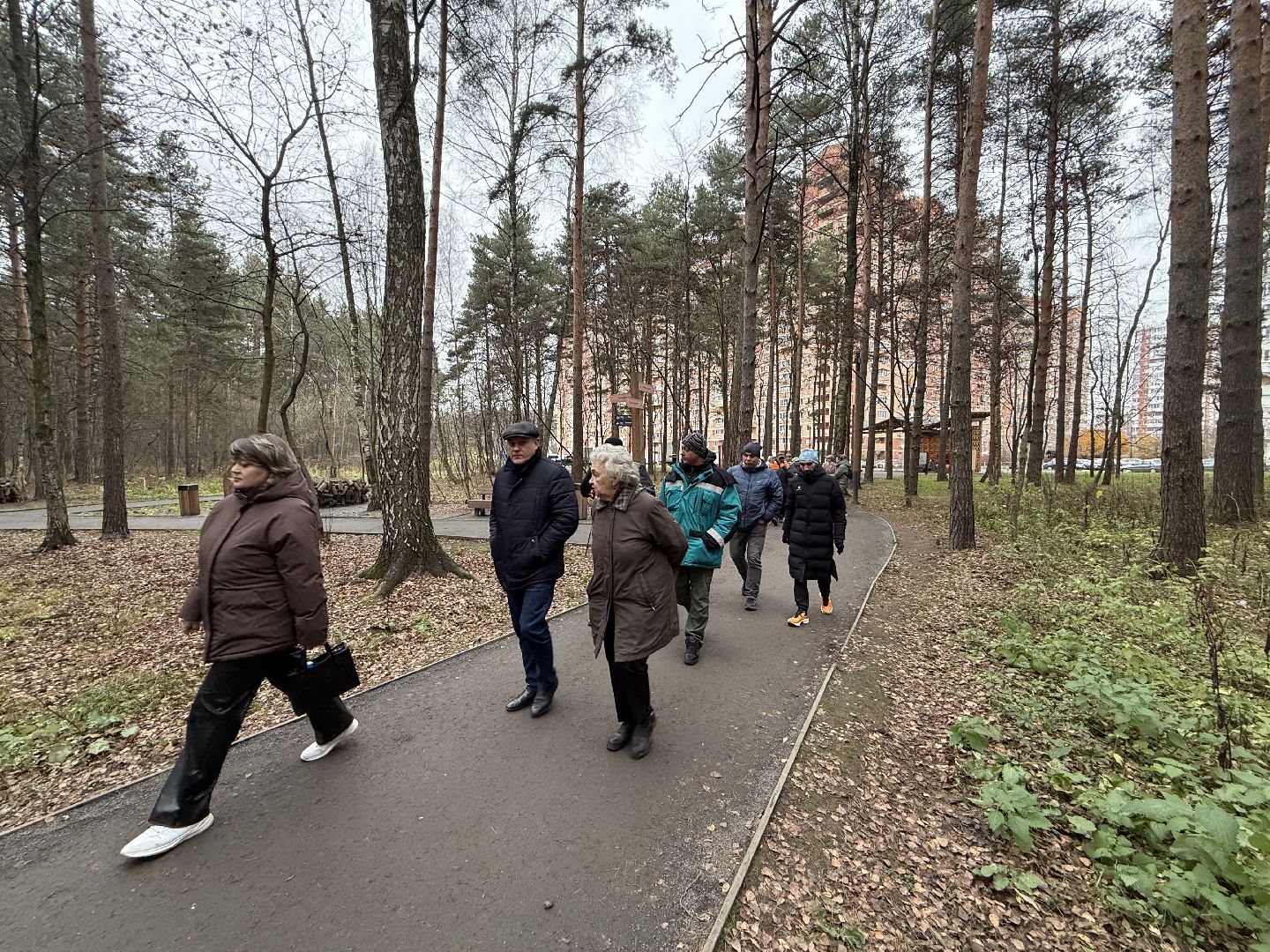 Люберцы, Парк, Лесная опушка, Благоустройство ,