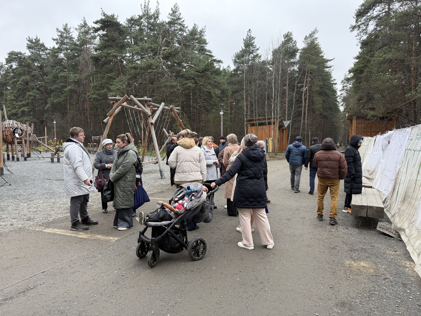 Люберцы, Парк, Лесная опушка, Благоустройство ,
