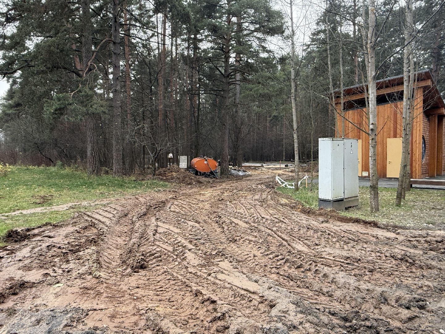 Люберцы, Парк, Лесная опушка, Благоустройство ,