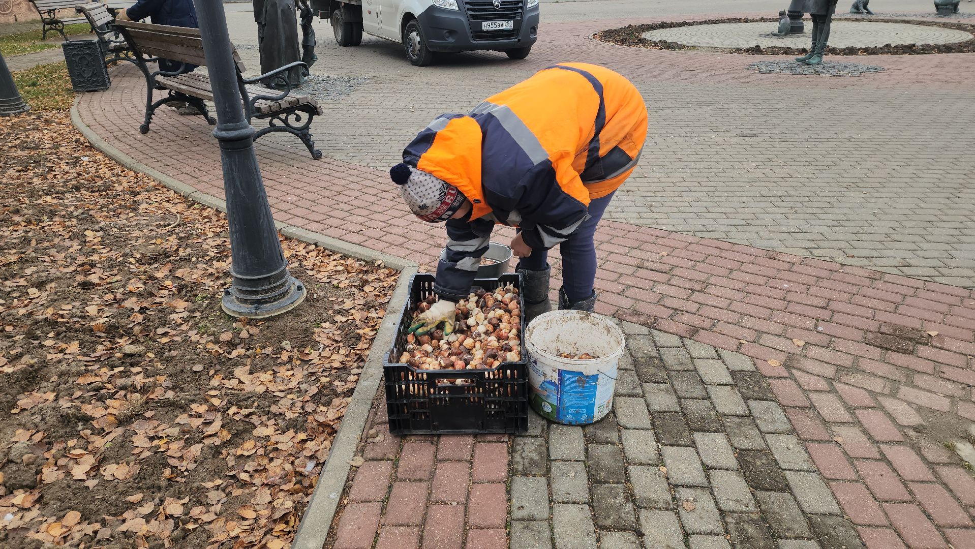 серпухов, тюльпаны в серпухове, городские клумбы в серпухове, комбинат благоустройства, сенная площадь в серпухове,