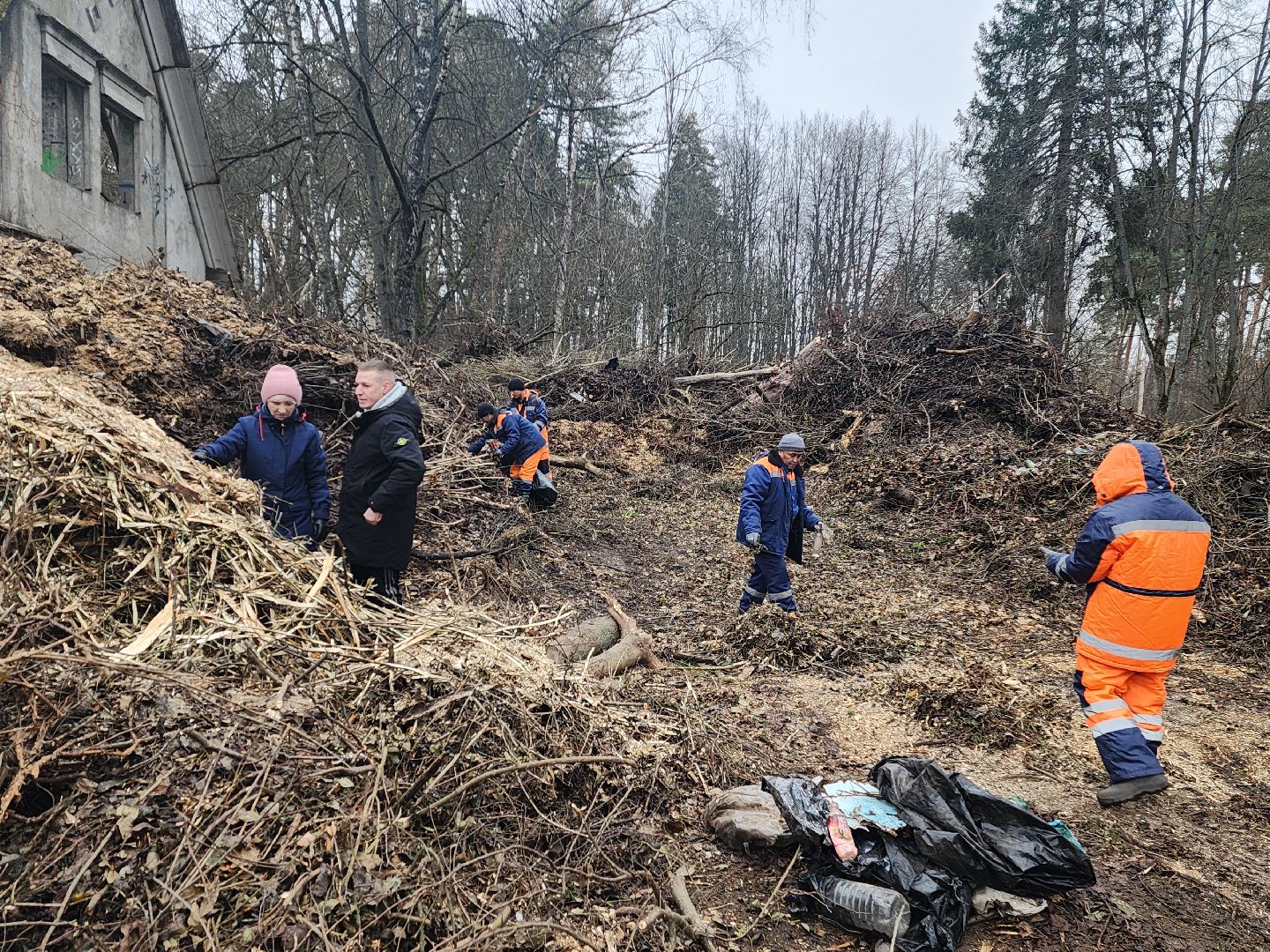 красноармейск, городской округ пушкинский, порубочные остатки, коммунальная служба,