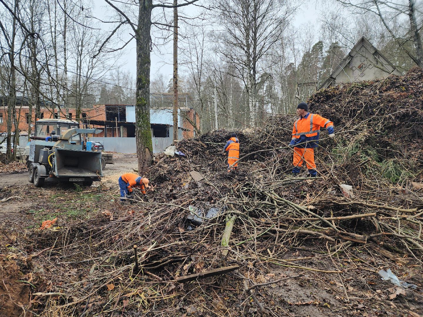 красноармейск, городской округ пушкинский, порубочные остатки, коммунальная служба,