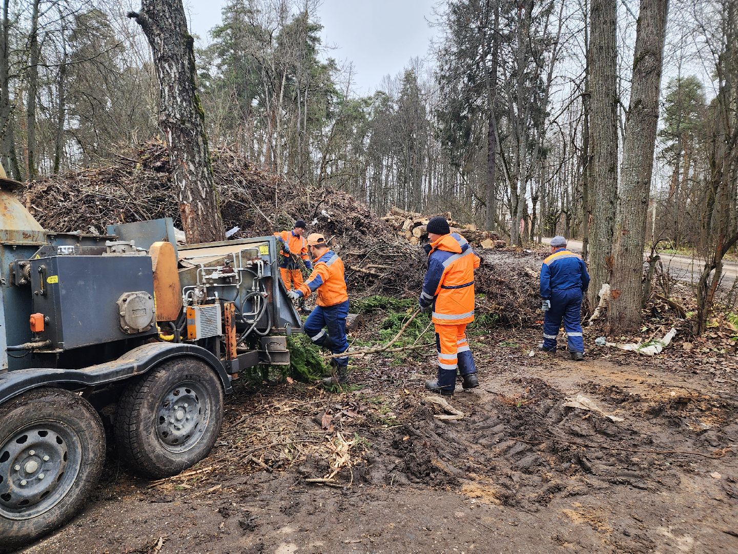 красноармейск, городской округ пушкинский, порубочные остатки, коммунальная служба,