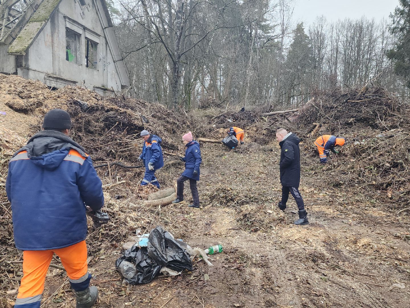 красноармейск, городской округ пушкинский, порубочные остатки, коммунальная служба,