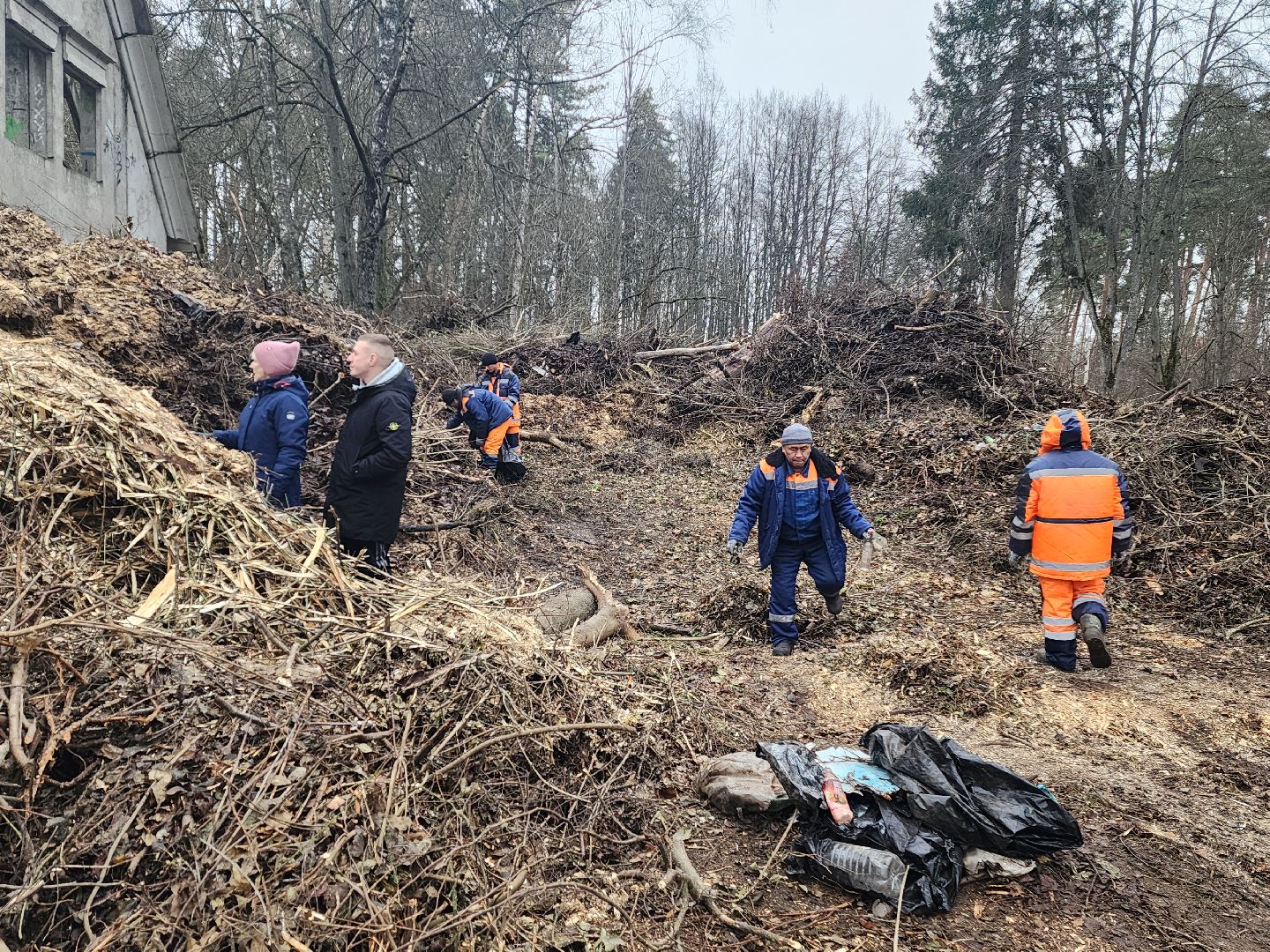 красноармейск, городской округ пушкинский, порубочные остатки, коммунальная служба,