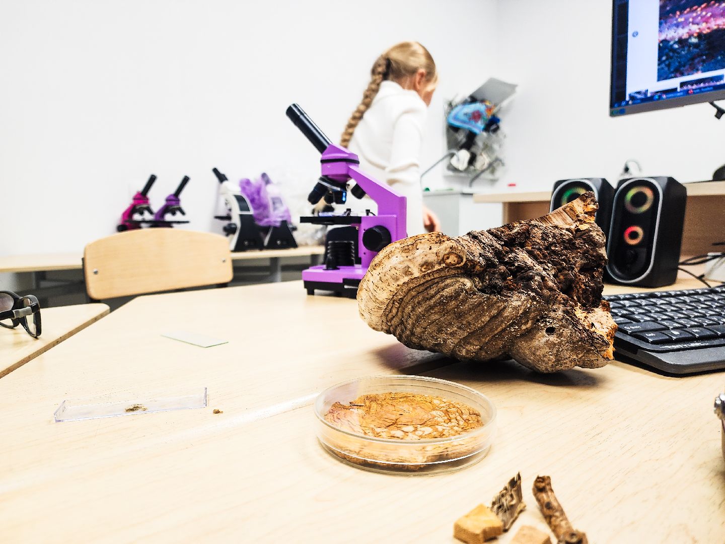 Пущино, образование , серпухов, допобразование,