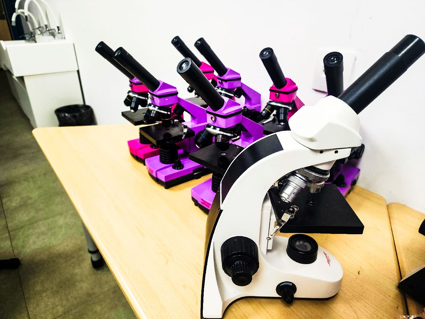 Пущино, образование , серпухов, допобразование,