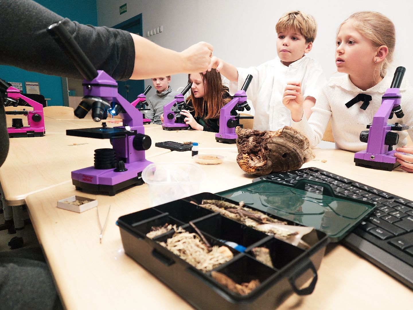 Пущино, образование , серпухов, допобразование,