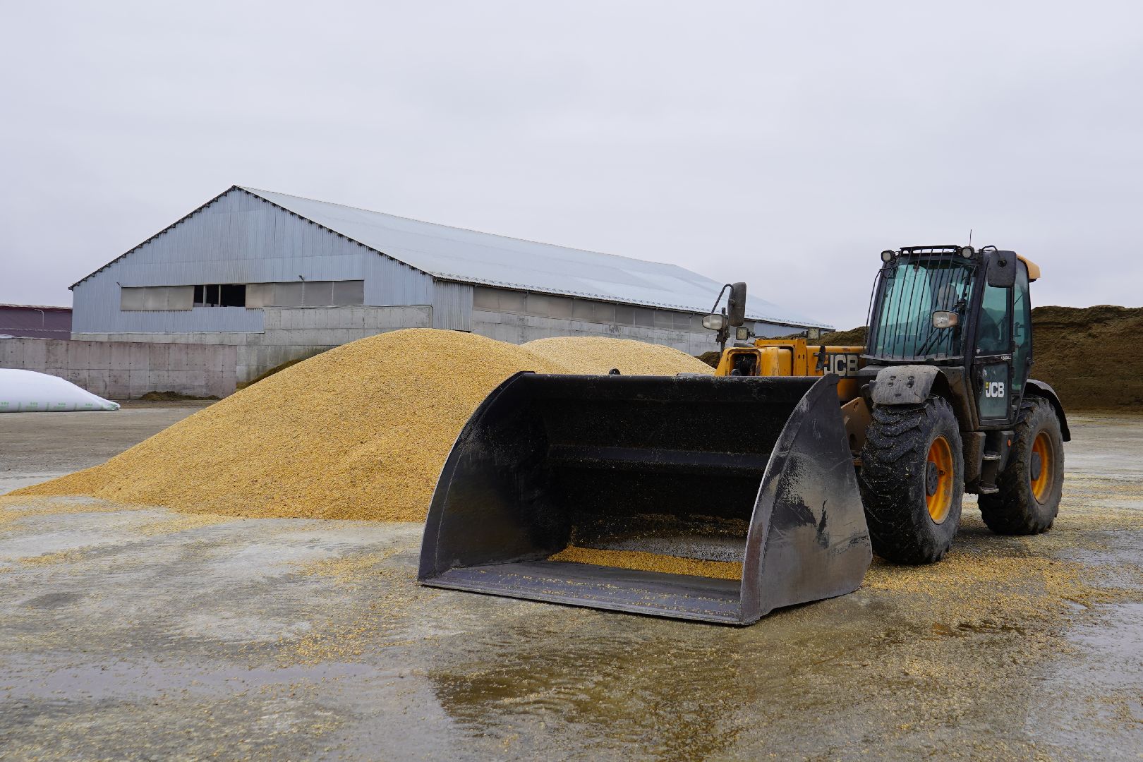 ступино, Ступинская Нива, ЭкоНива, кукуруза, сушка кукурузы,