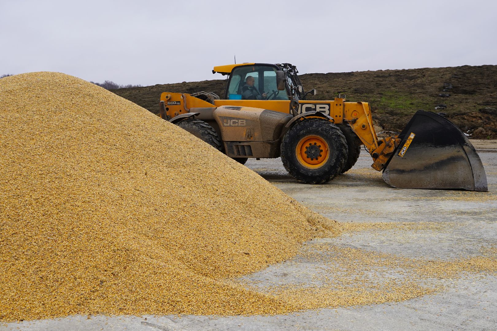 ступино, Ступинская Нива, ЭкоНива, кукуруза, сушка кукурузы,