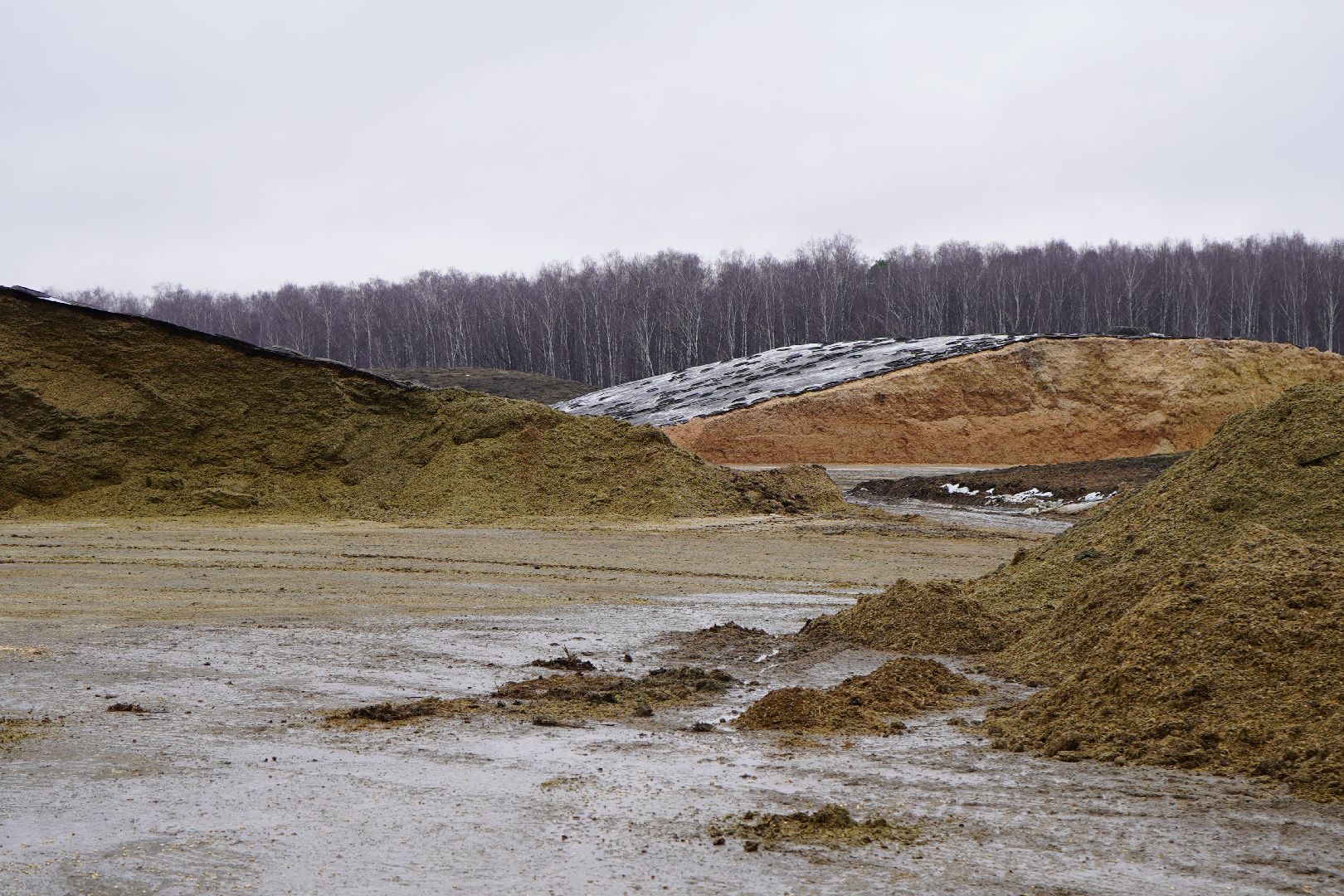 ступино, Ступинская Нива, ЭкоНива, кукуруза, сушка кукурузы,