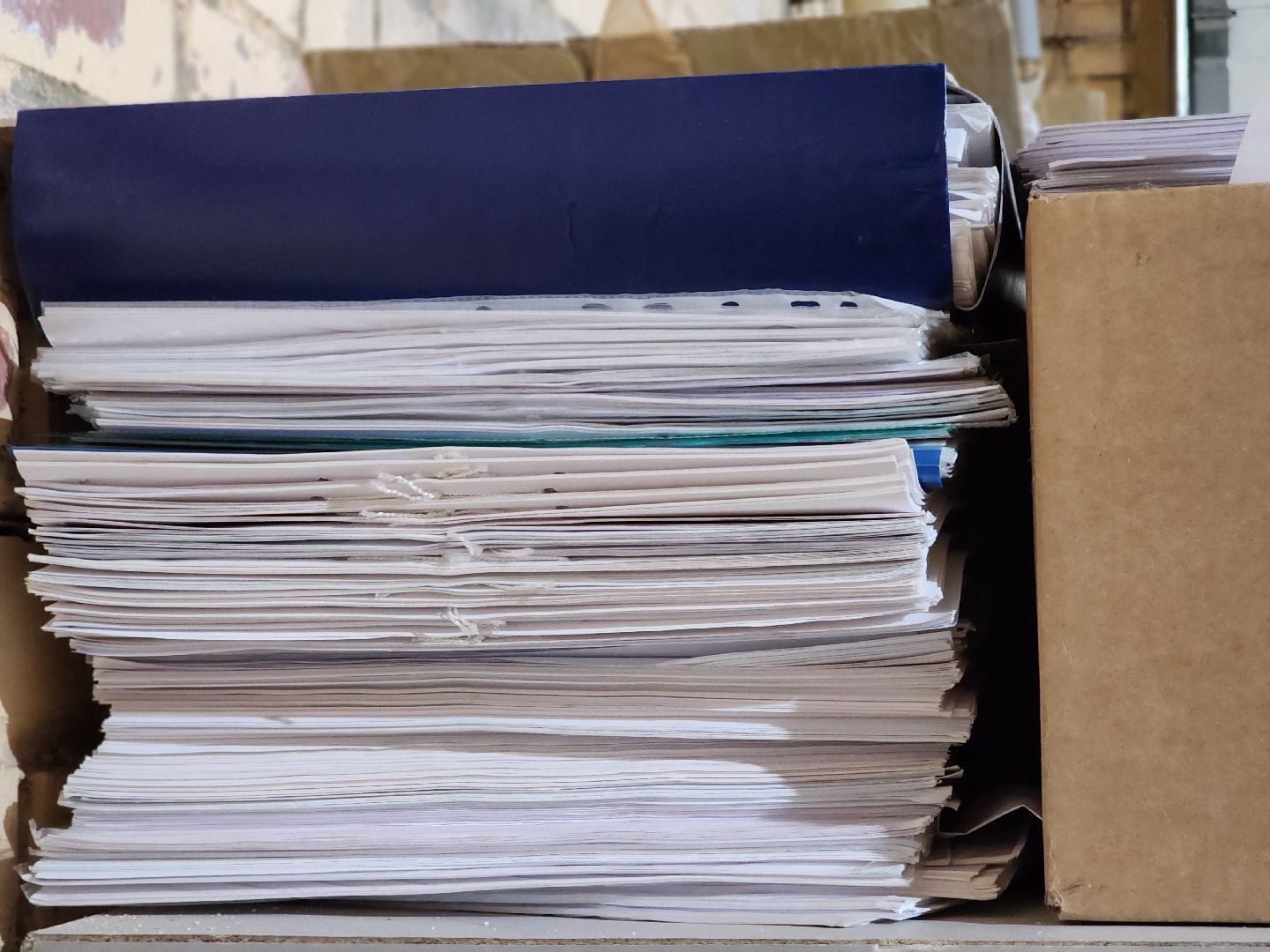 экологическая акция, сбор макулатуры, экология,ногинск, богородский городский округ,