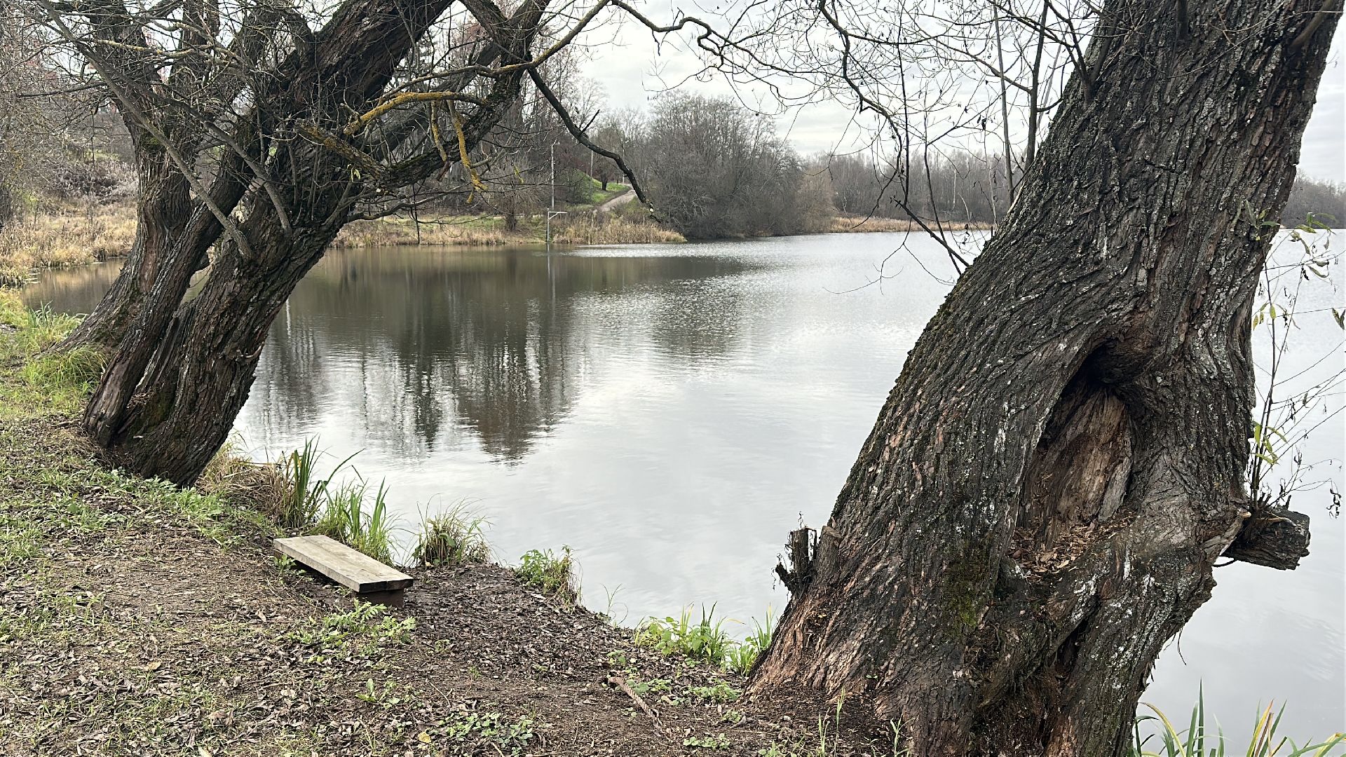 пушкинский городской округ, софрино, Софринское водохранилище, 100 прудов и озер, расчистка пруда, экология,