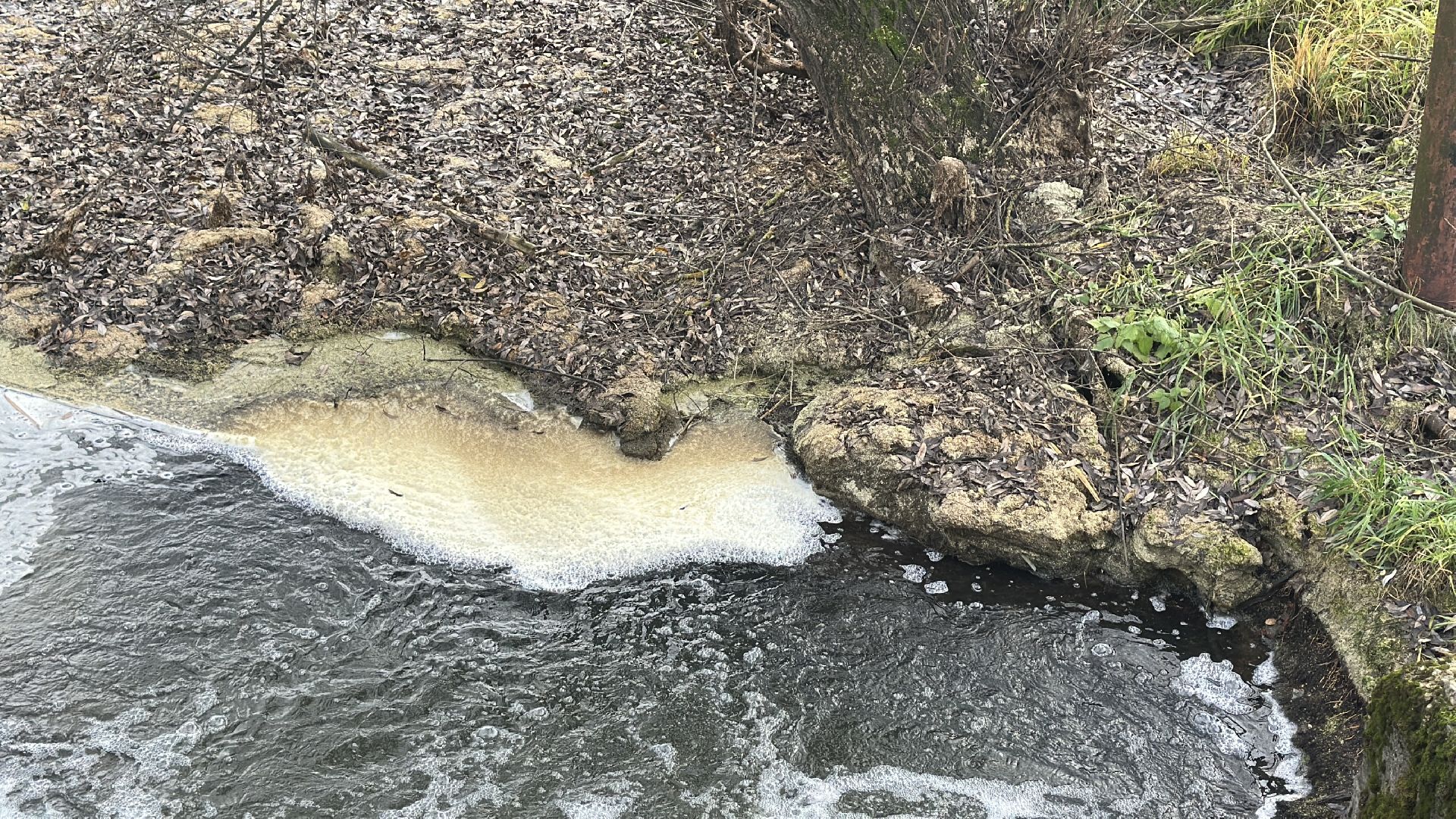 пушкинский городской округ, софрино, Софринское водохранилище, 100 прудов и озер, расчистка пруда, экология,