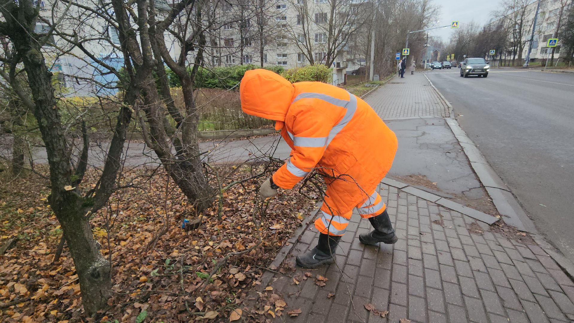 Истра, Спил веток , Благоустройство ,