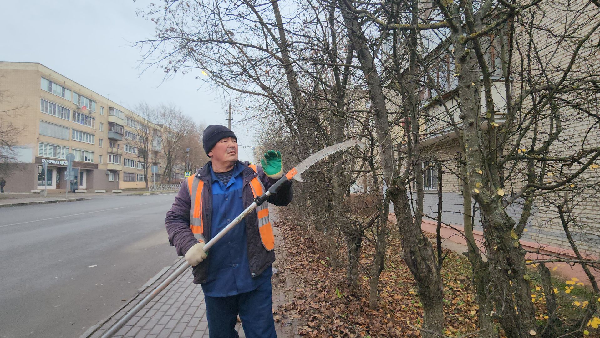 Истра, Спил веток , Благоустройство ,