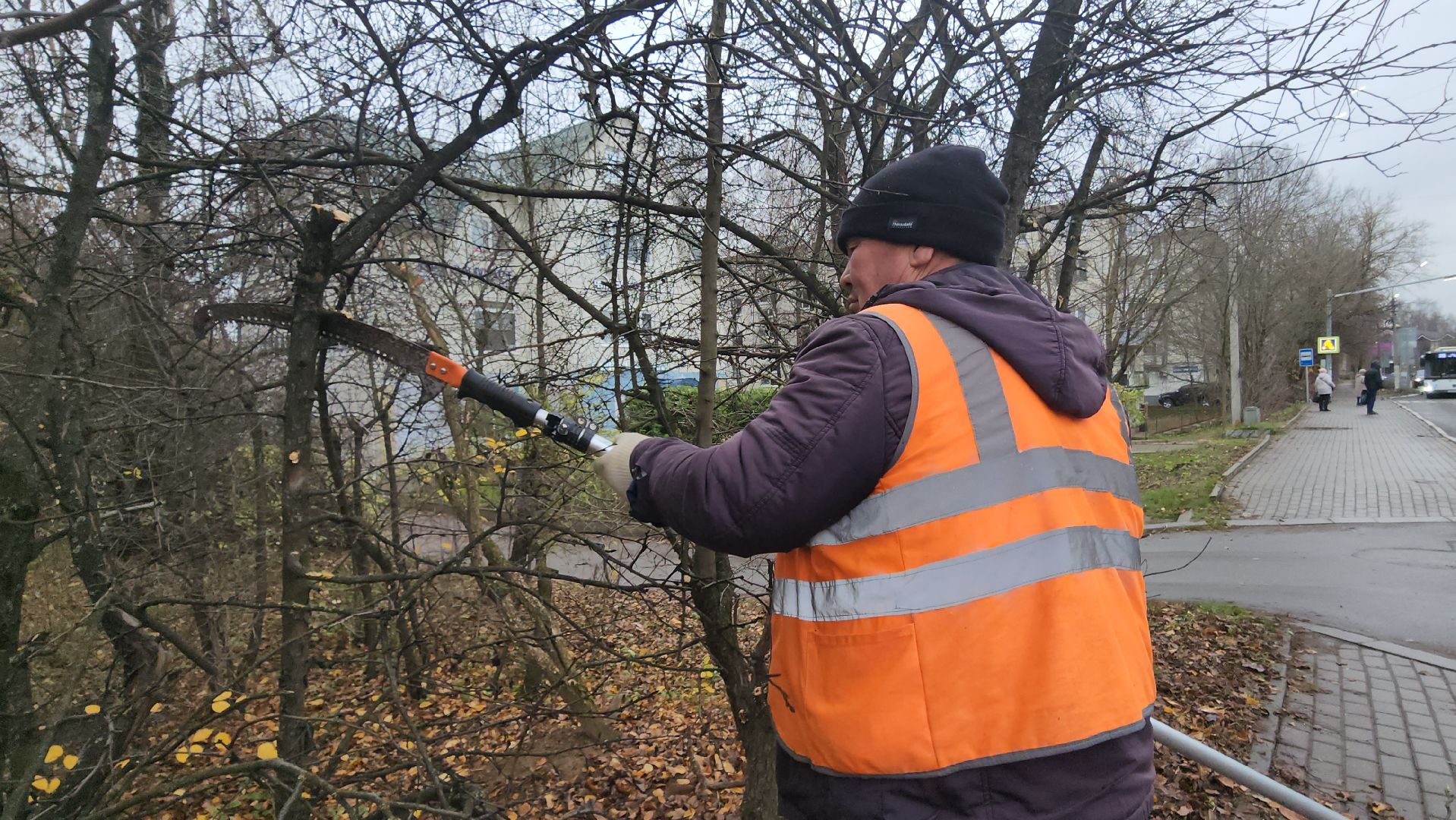 Истра, Спил веток , Благоустройство ,