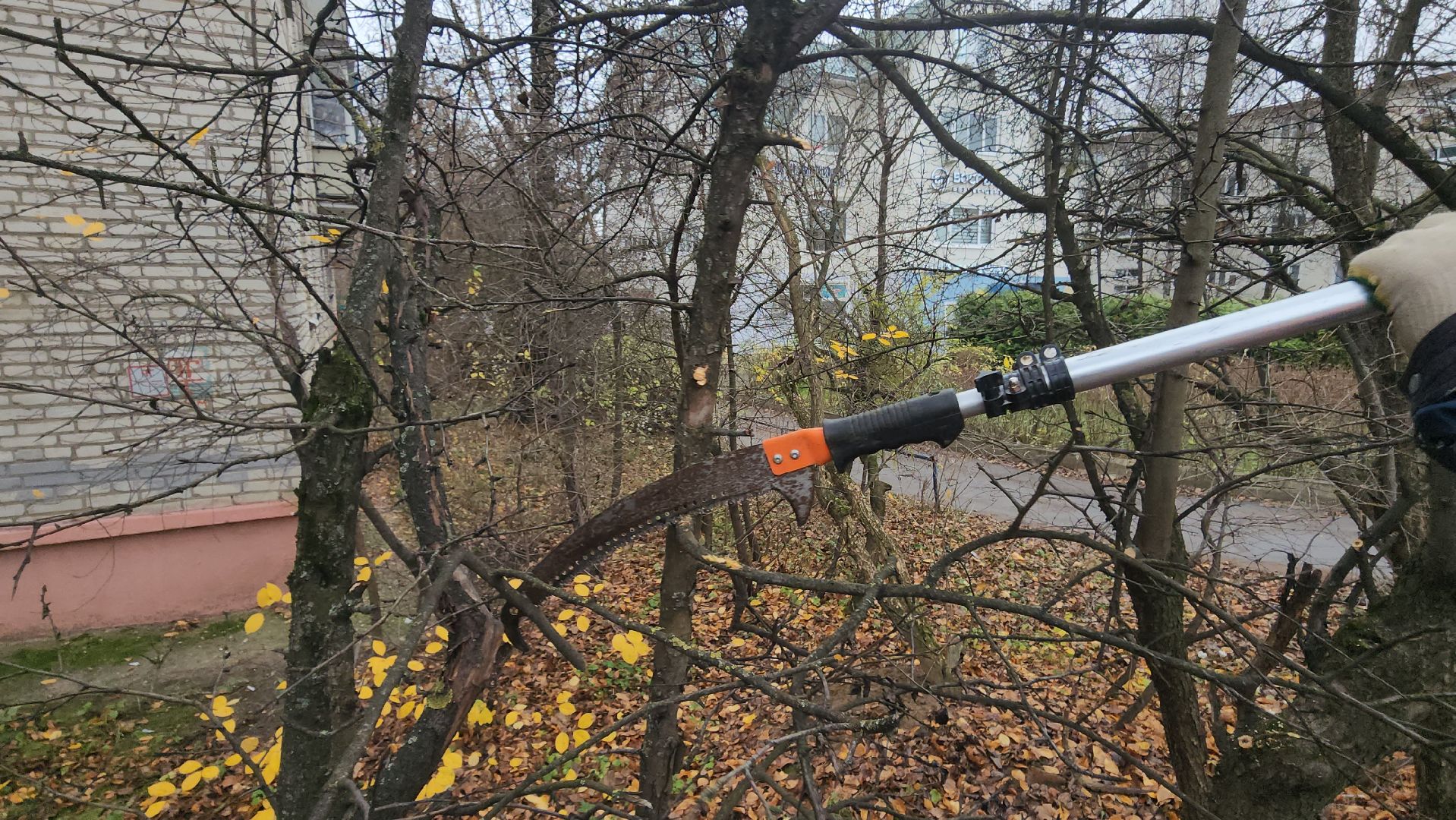 Истра, Спил веток , Благоустройство ,