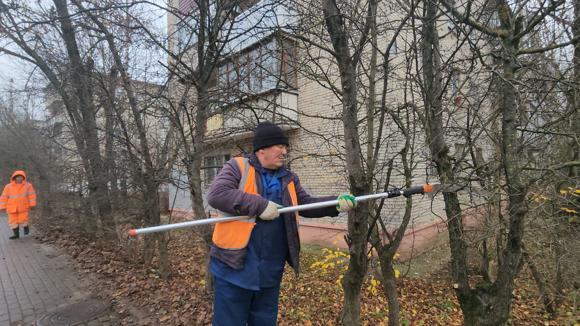 Истра, Спил веток , Благоустройство ,