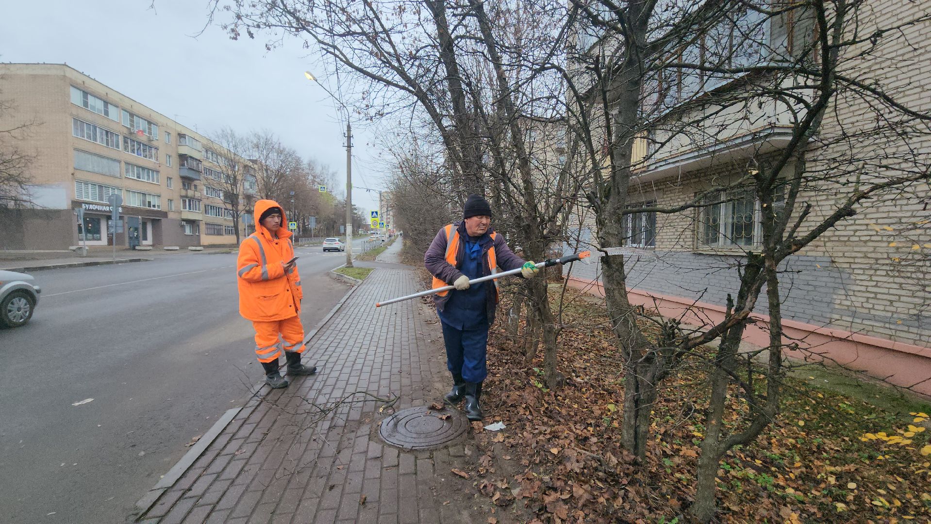Истра, Спил веток , Благоустройство ,