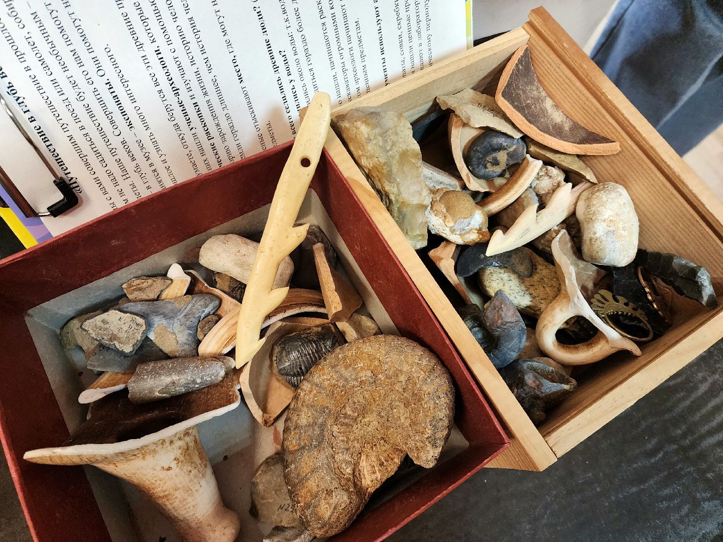 солнечногорск, музей, история, археология,