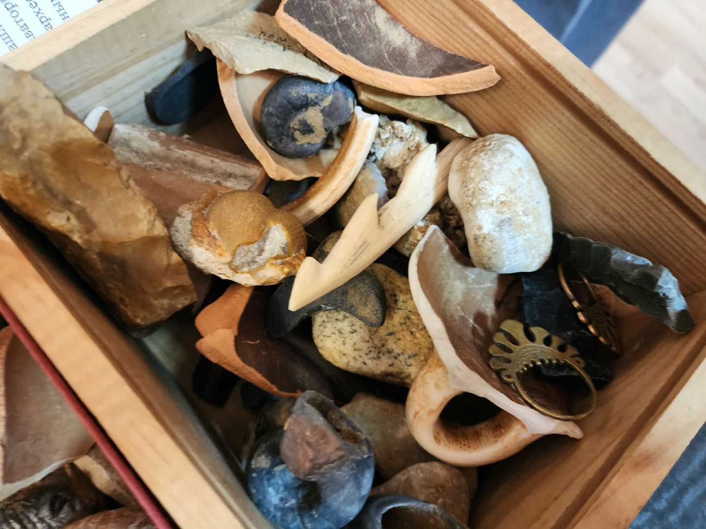 солнечногорск, музей, история, археология,