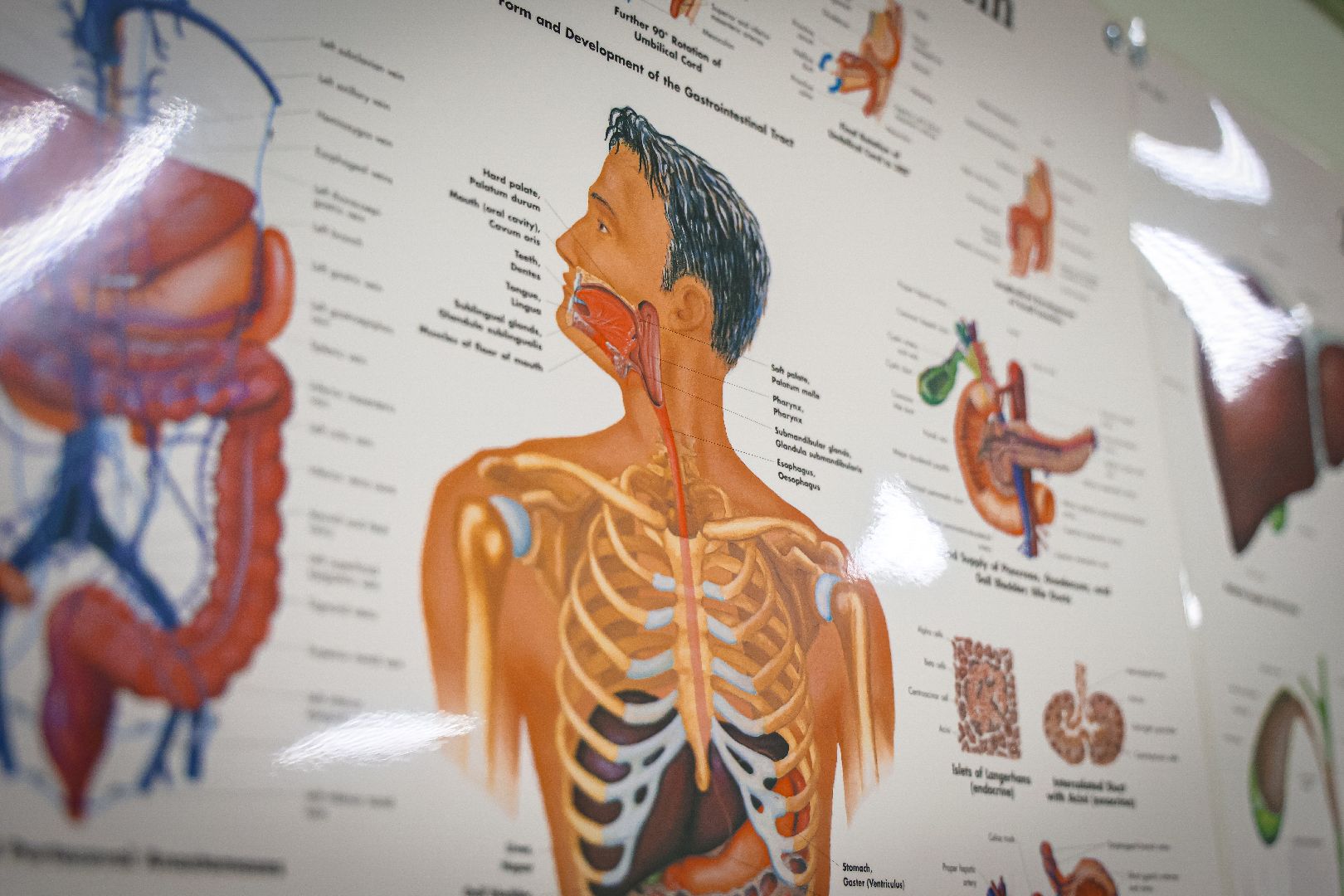 клин, школьники, медицина, образование, профориентация, скорая медицинская помощь,