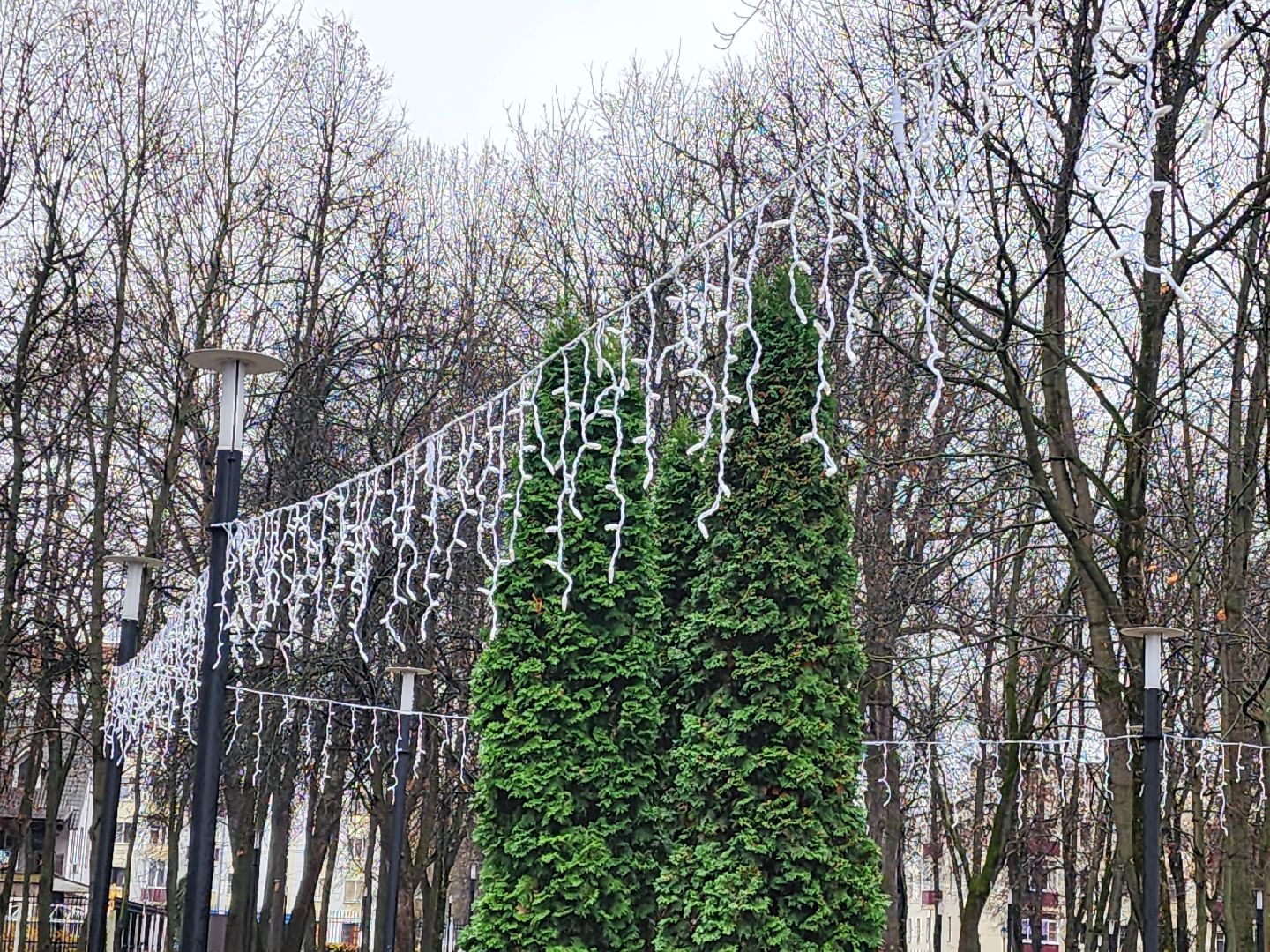 Подольск , Подготовка к зиме, Парк Талалихина ,