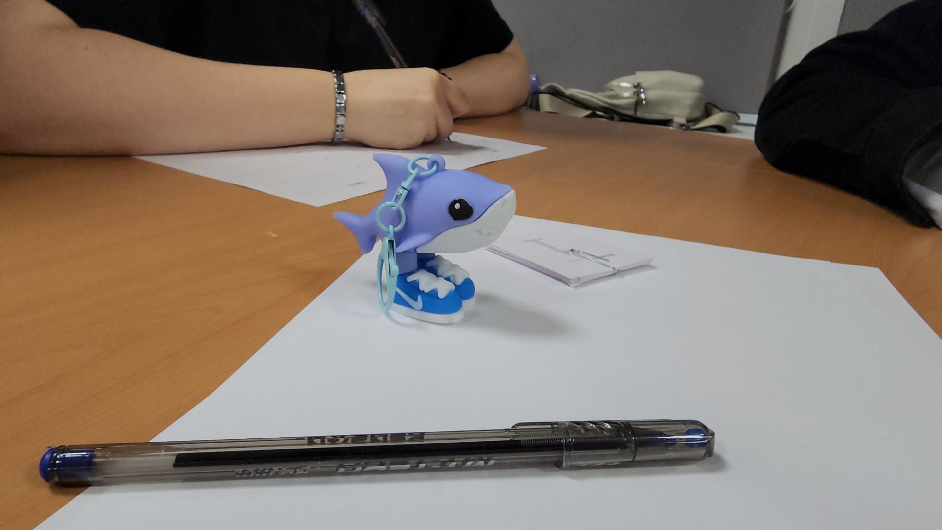 Егорьевск , Подмосковье , Московская область ,