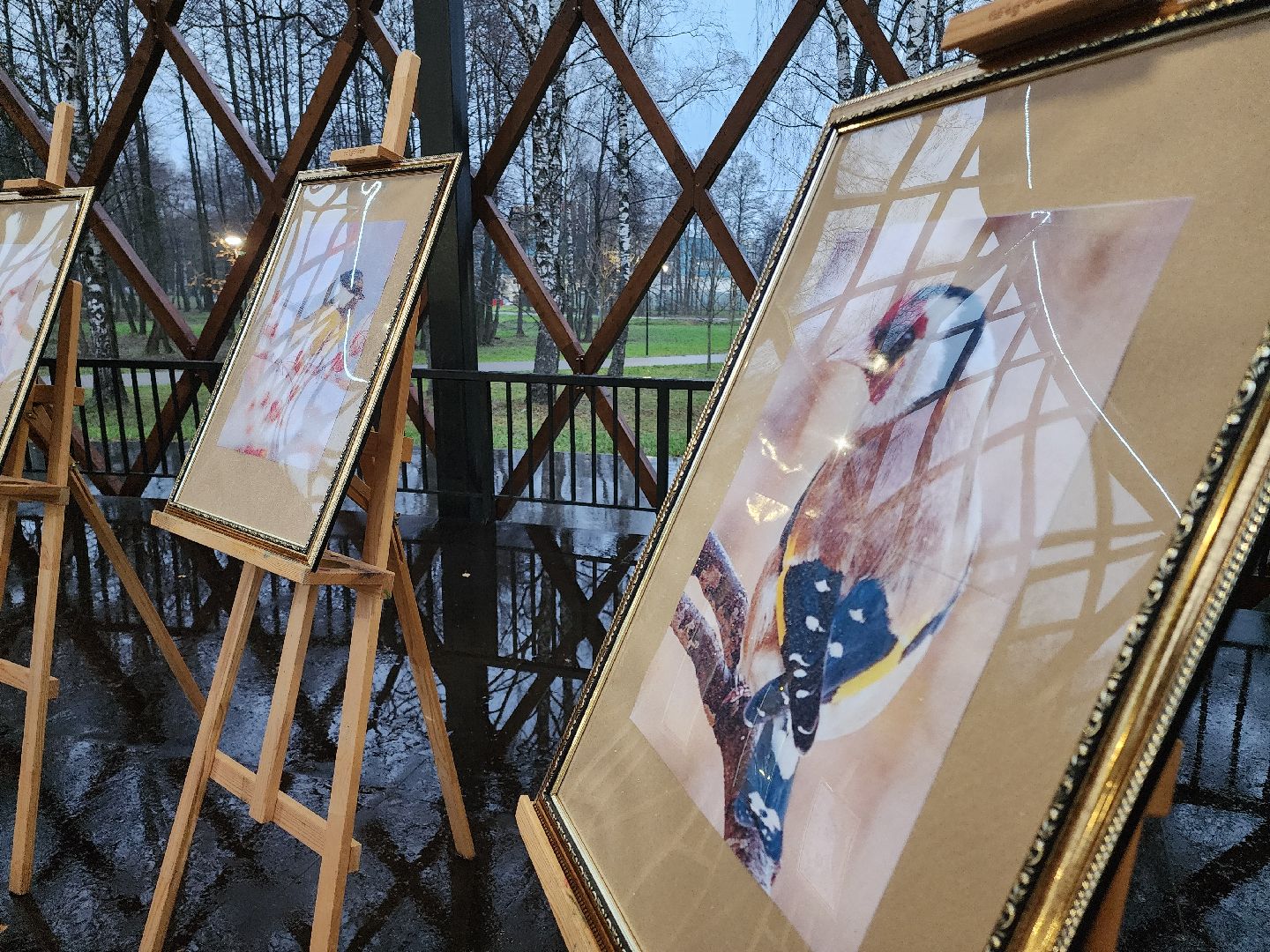 Егорьевск , Подмосковье , Московская область ,