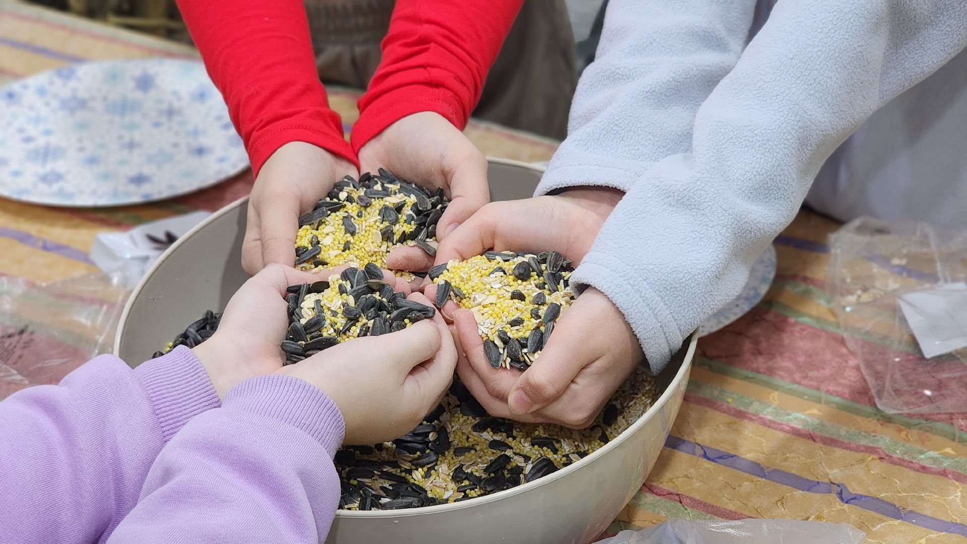 экология, синичкин день, дети, парк, лосино-петровский,