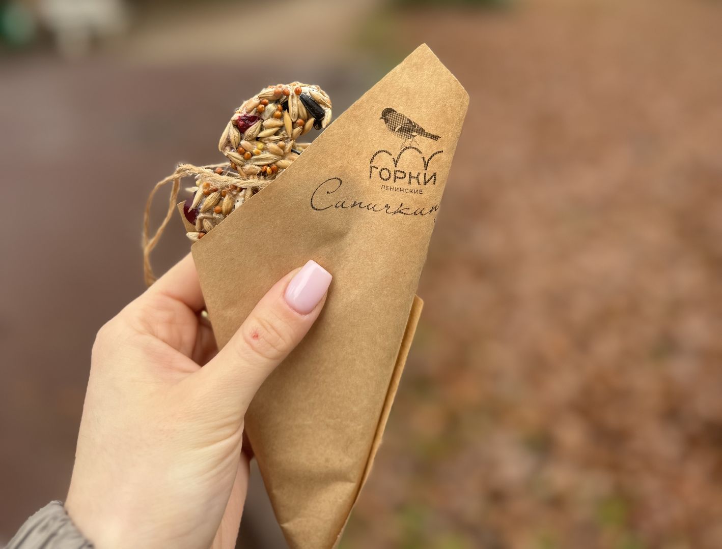 синичкин день, съедобные кормушки, музей заповедник горки ленинские, ленинский городской округ,