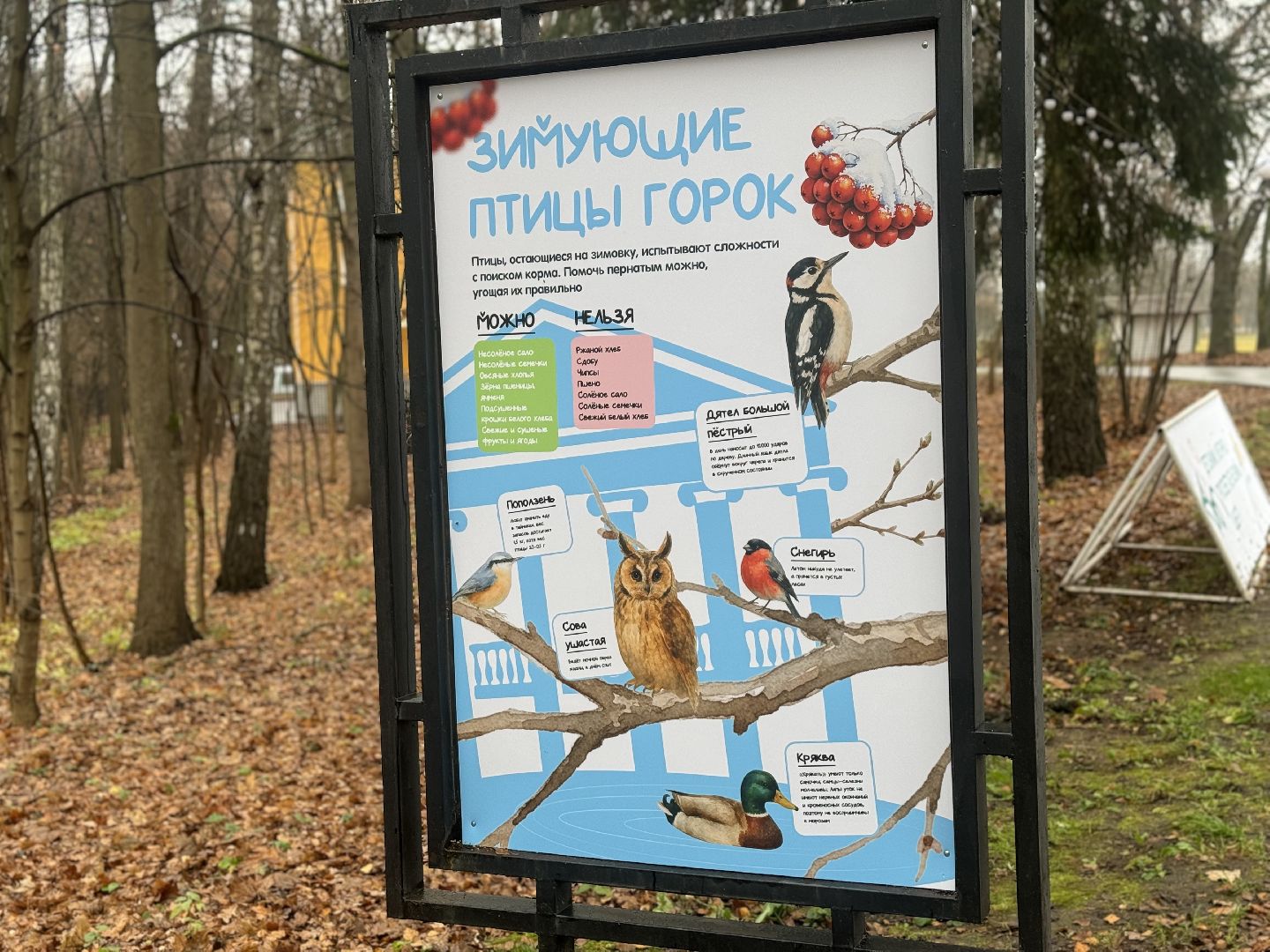 синичкин день, съедобные кормушки, музей заповедник горки ленинские, ленинский городской округ,