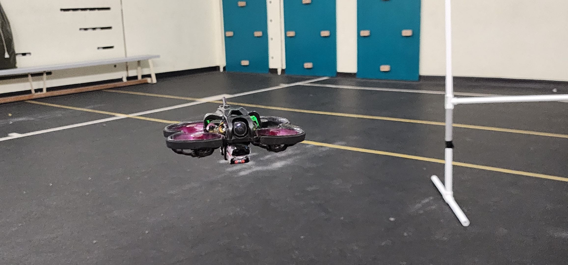 Истра, Дети, Образование ,