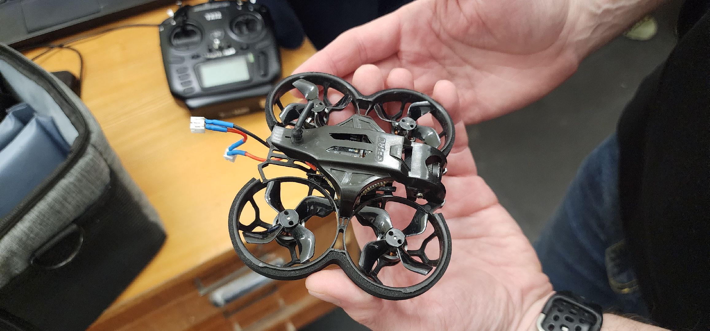 Истра, Дети, Образование ,