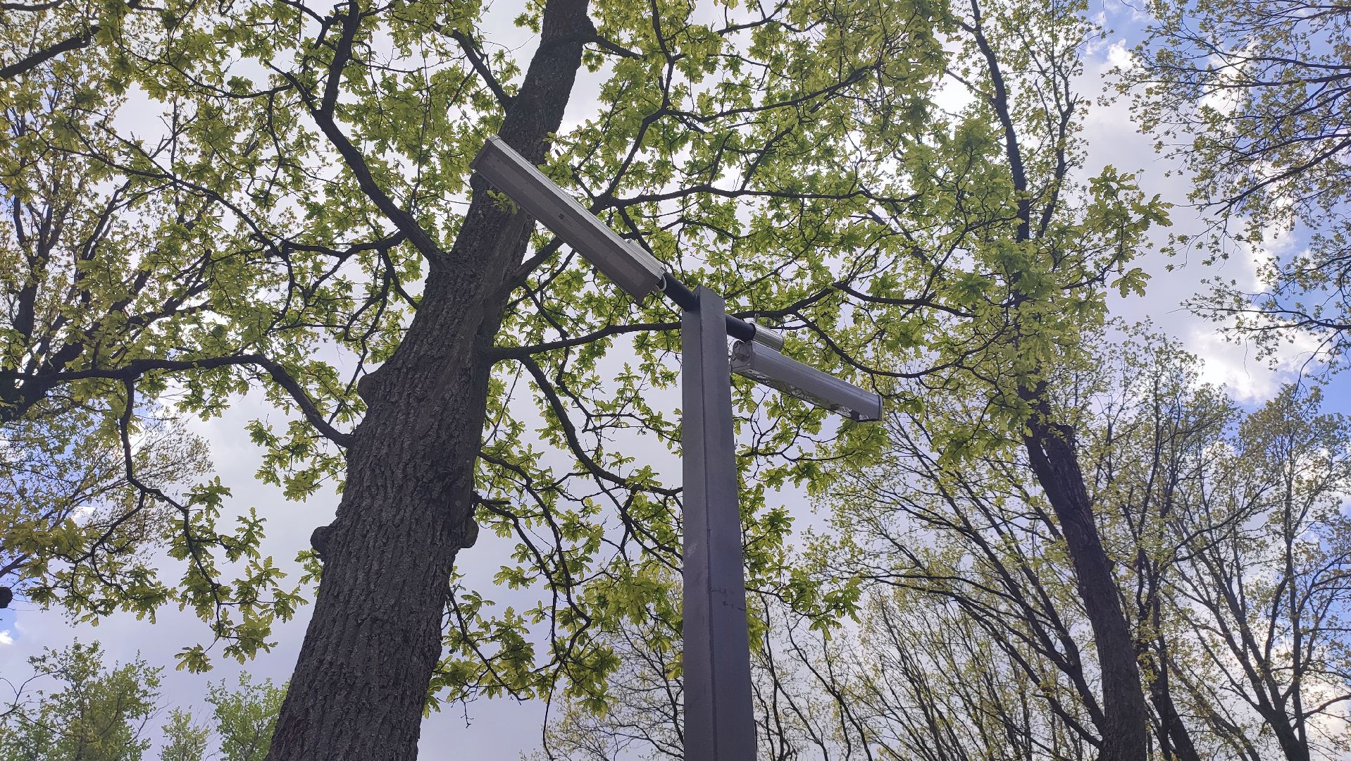 Кашира, Ожерелье, парк, дубовая роща, входная группа, фонари