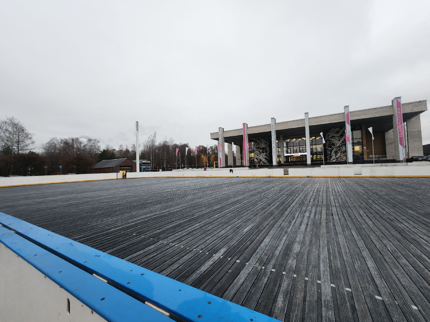 мытищи, каток,